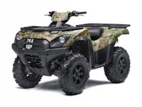 Brute Force 750 4x4i EPS CAMU.jpg