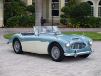 austinhealey-5.jpg